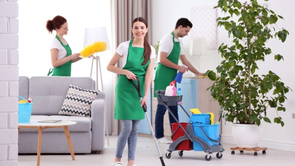 Living Room Cleaning Services 