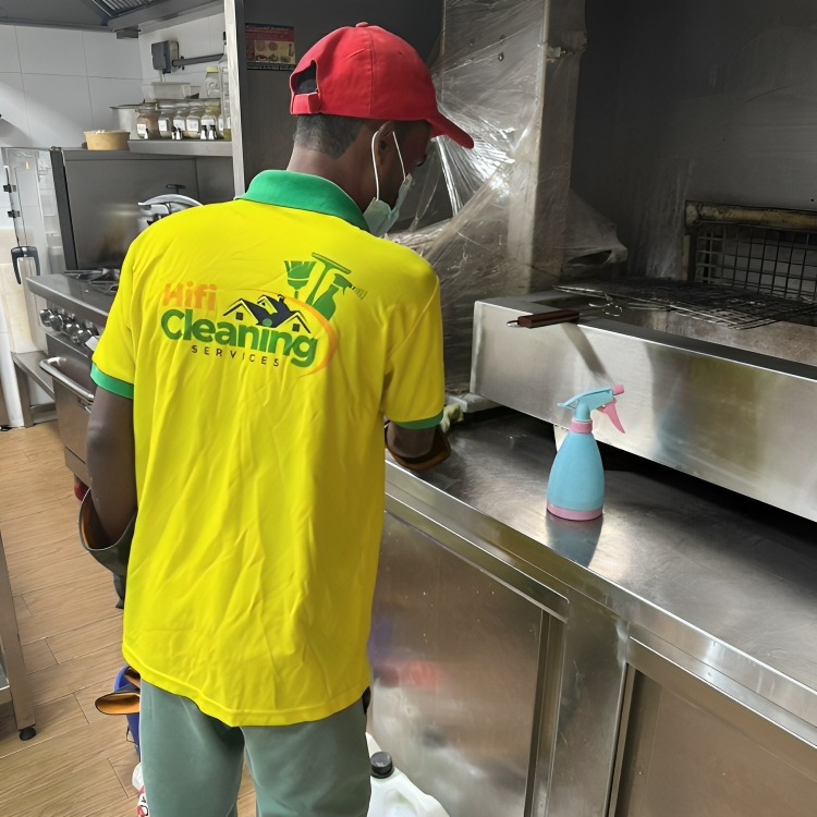 professional kitchen cleaning Services