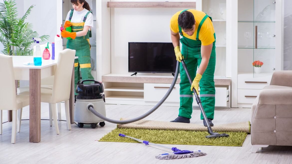 domestic cleaning services